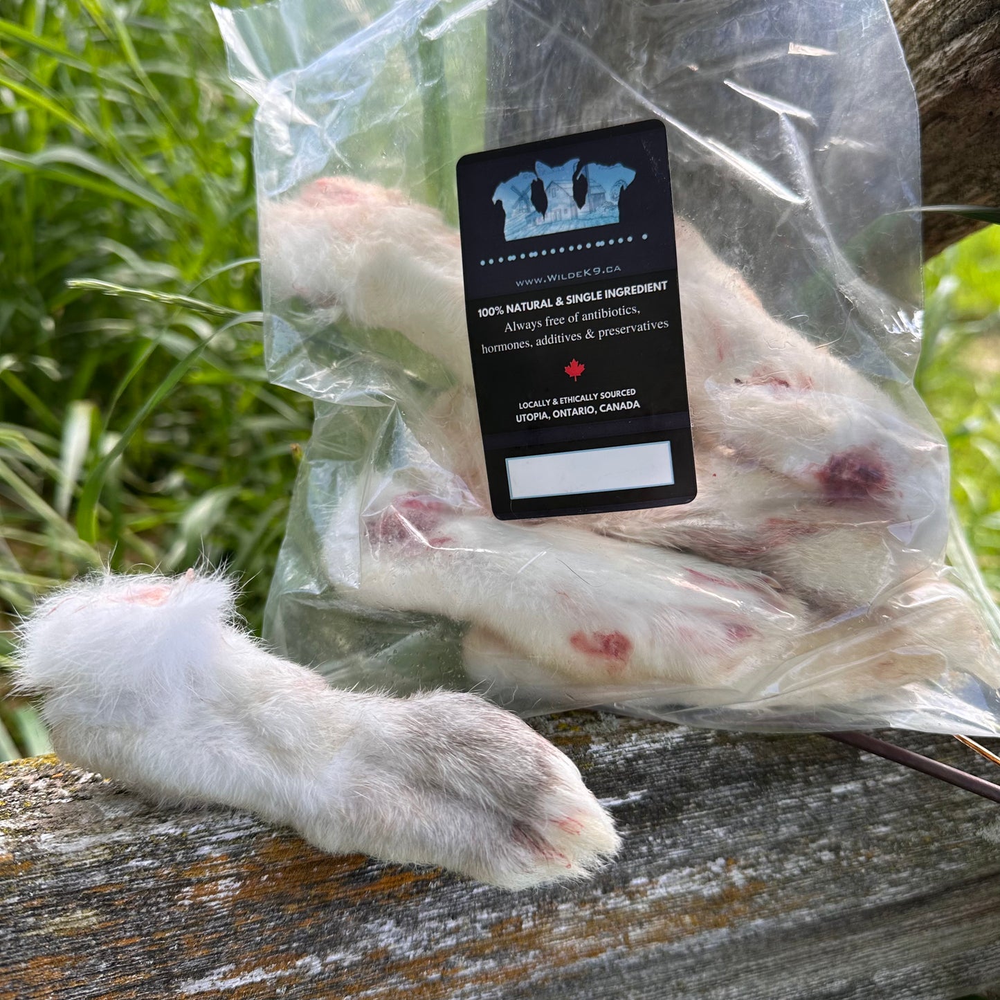 Raw Rabbit Feet