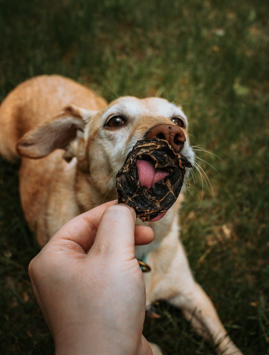 100g Pork Heart Bites