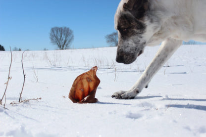 Pig Ear