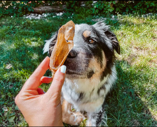 Lamb Ears