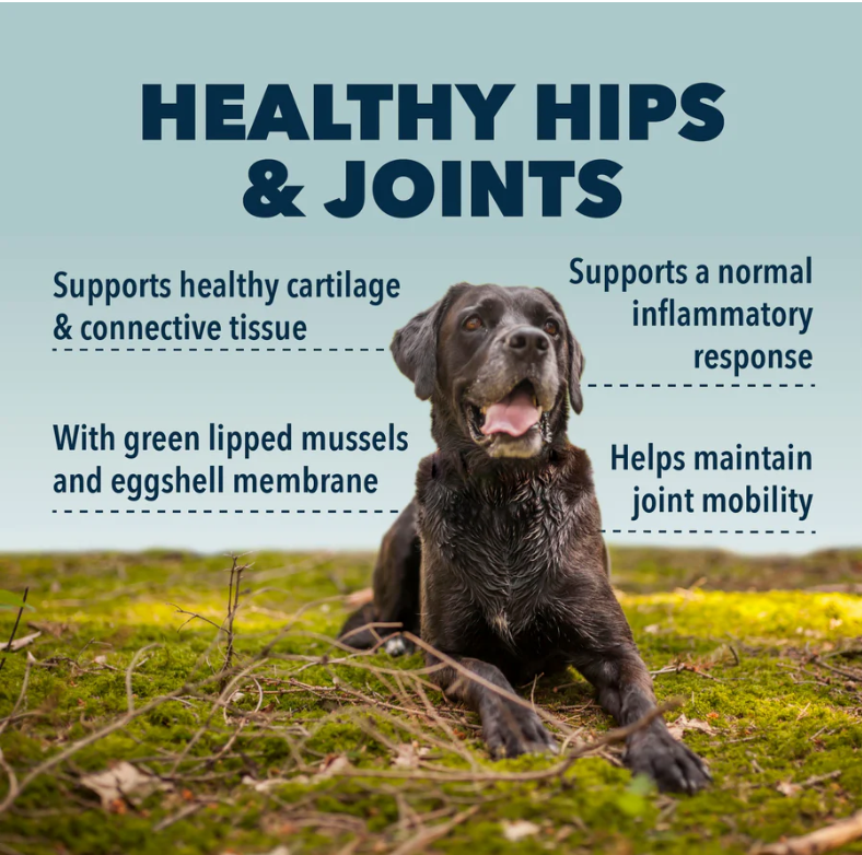 Hip & Joint - Natural Joint Support