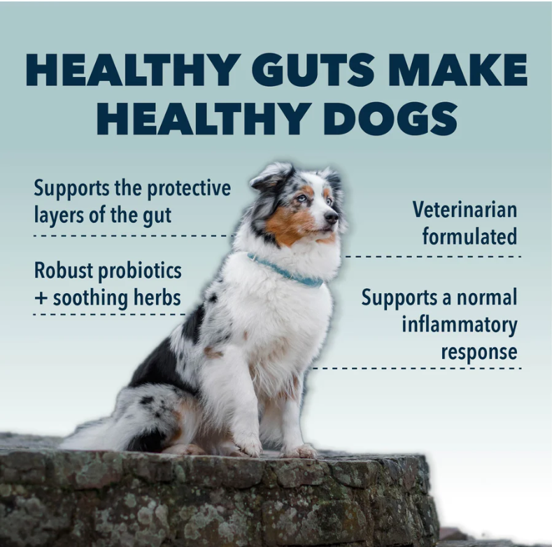 Gut Guard - For Dogs With Irritated, Leaky Guts