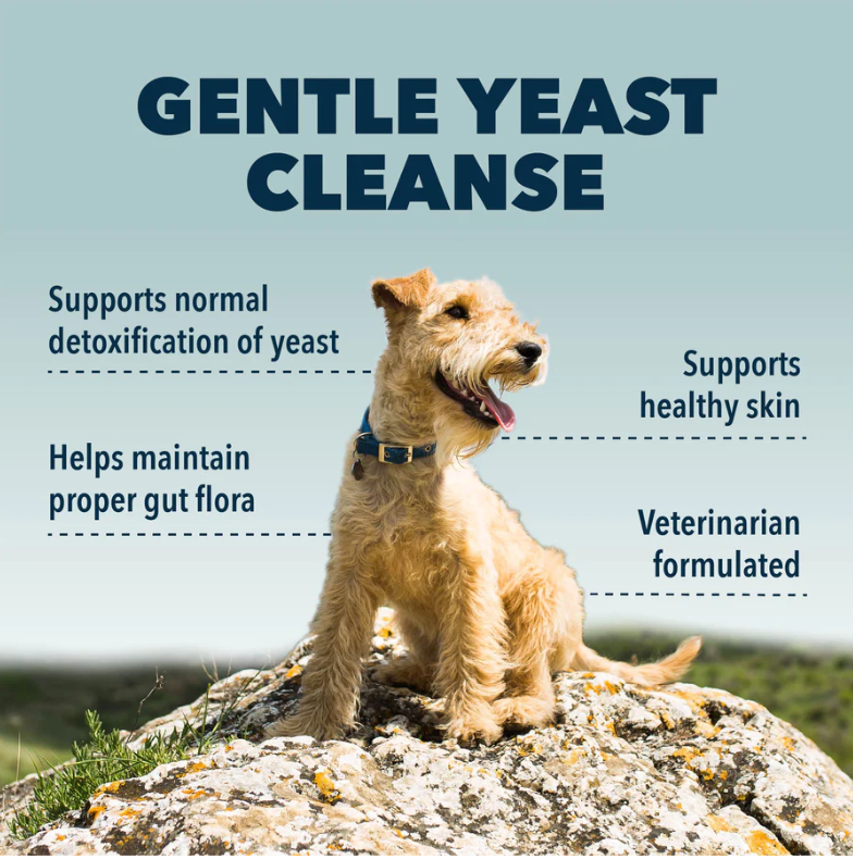 Yeast Guard - Yeast Cleanse